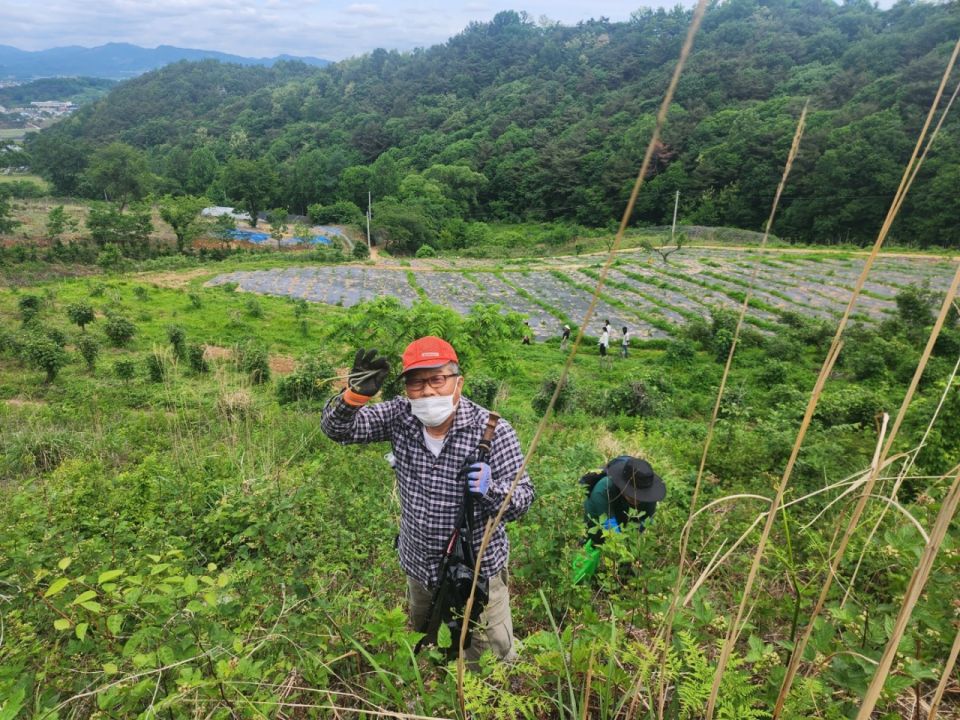충남농아인협회 당진시지회_사진_20250522_5.jpg