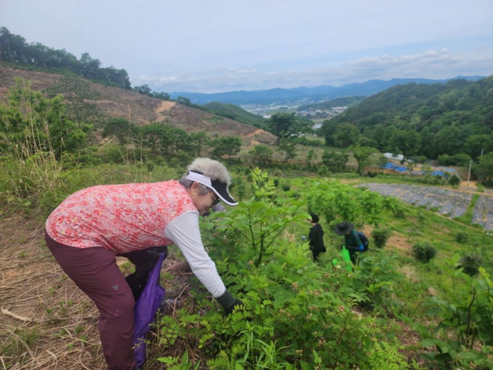 충남농아인협회 당진시지회_사진_20250522_3.jpg