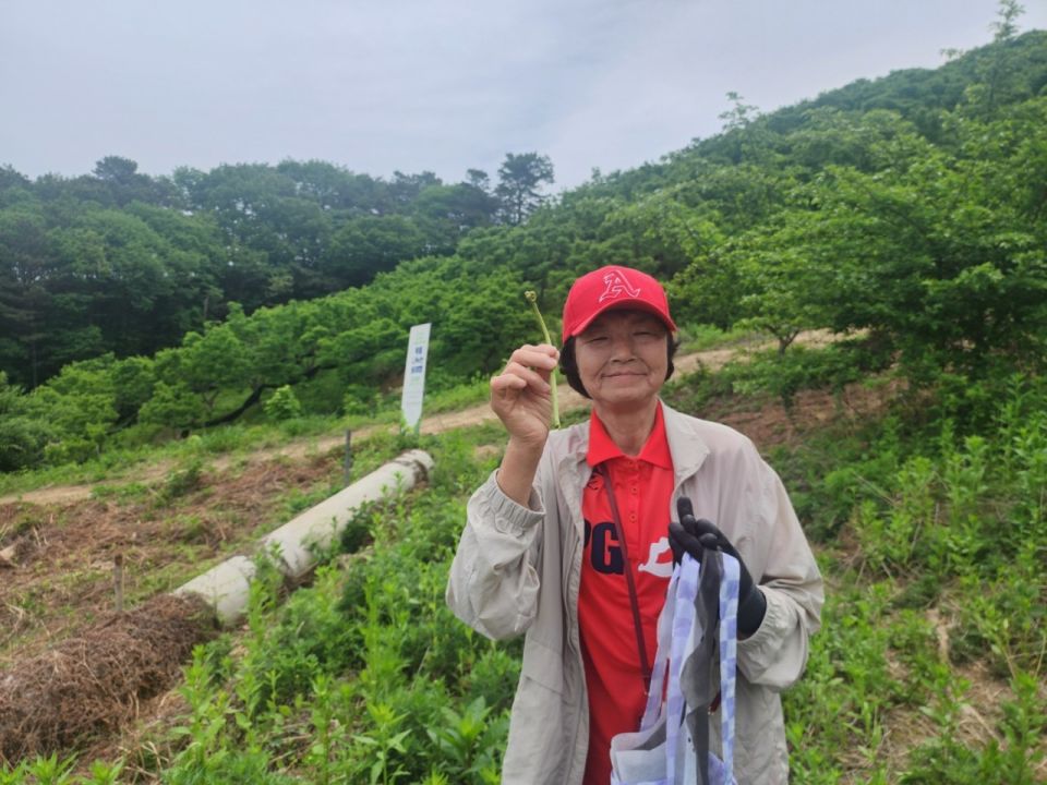 충남농아인협회 당진시지회_사진_20250522_7.jpg